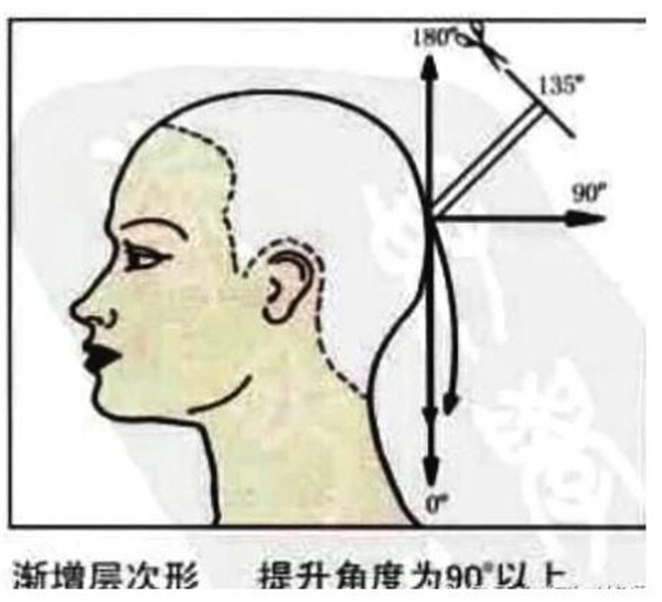 南寧美發(fā)學(xué)校：剪發(fā)過程中四種基礎(chǔ)層次知識點