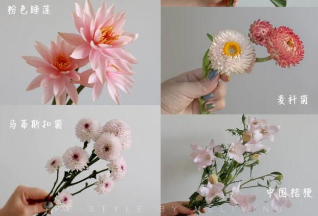 認(rèn)識(shí)常見(jiàn)花朵的名稱，廣西插花學(xué)?；ㄋ嚺嘤?xùn)基礎(chǔ)