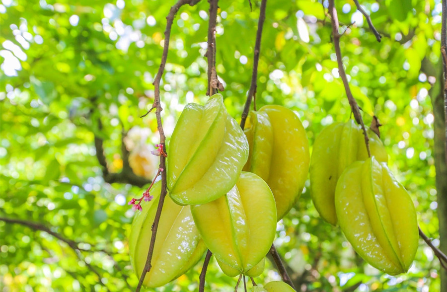 廣西美容護(hù)膚養(yǎng)顏班：春天吃什么水果好？