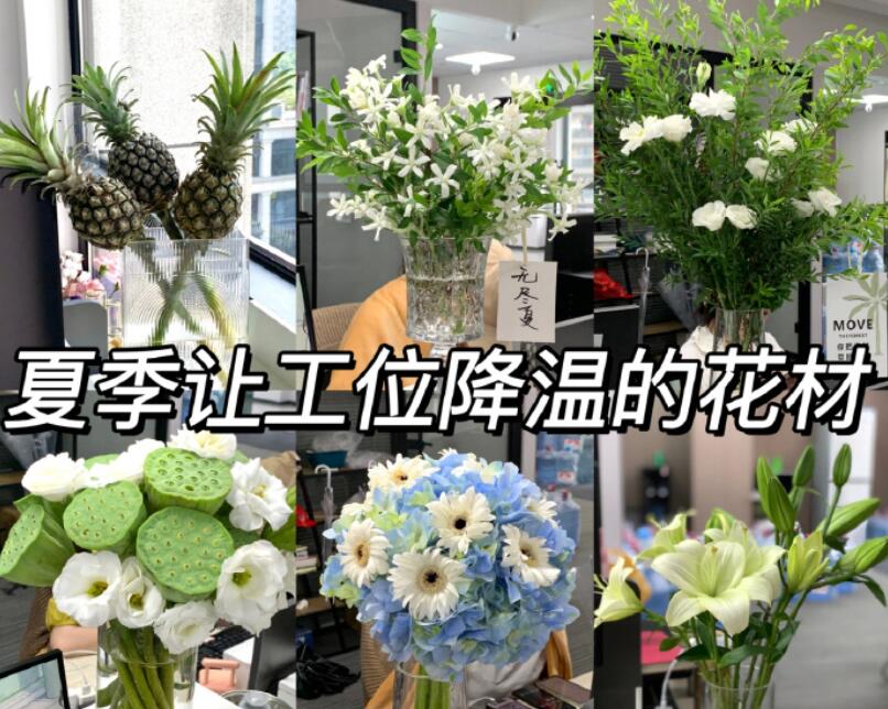 自帶降溫效果的花材，廣西學鮮花技術